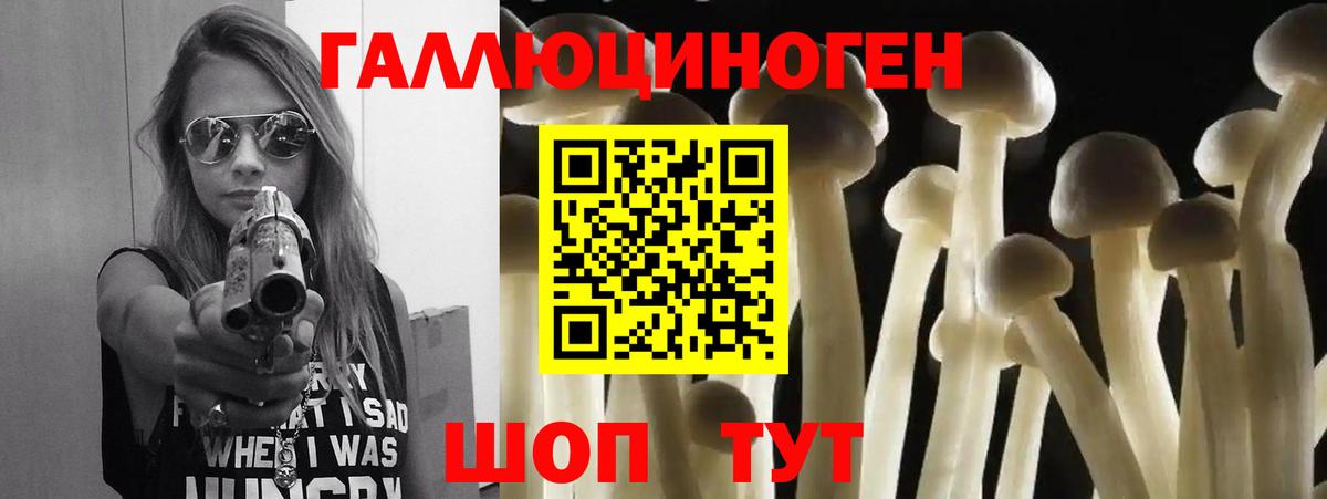 Псилоцибиновые грибы мухоморы Богданович